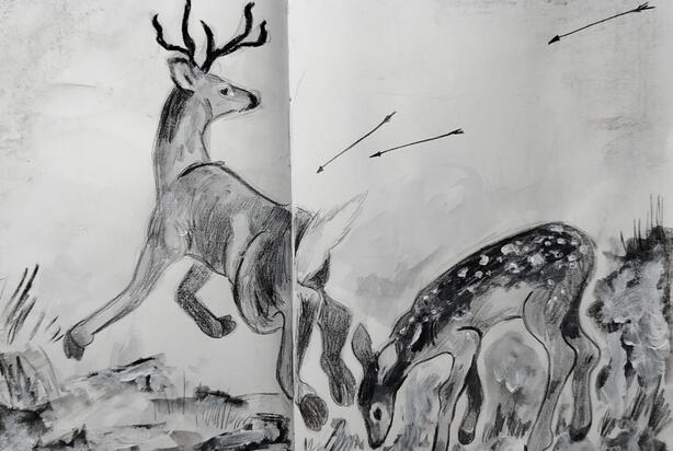 sketchbook